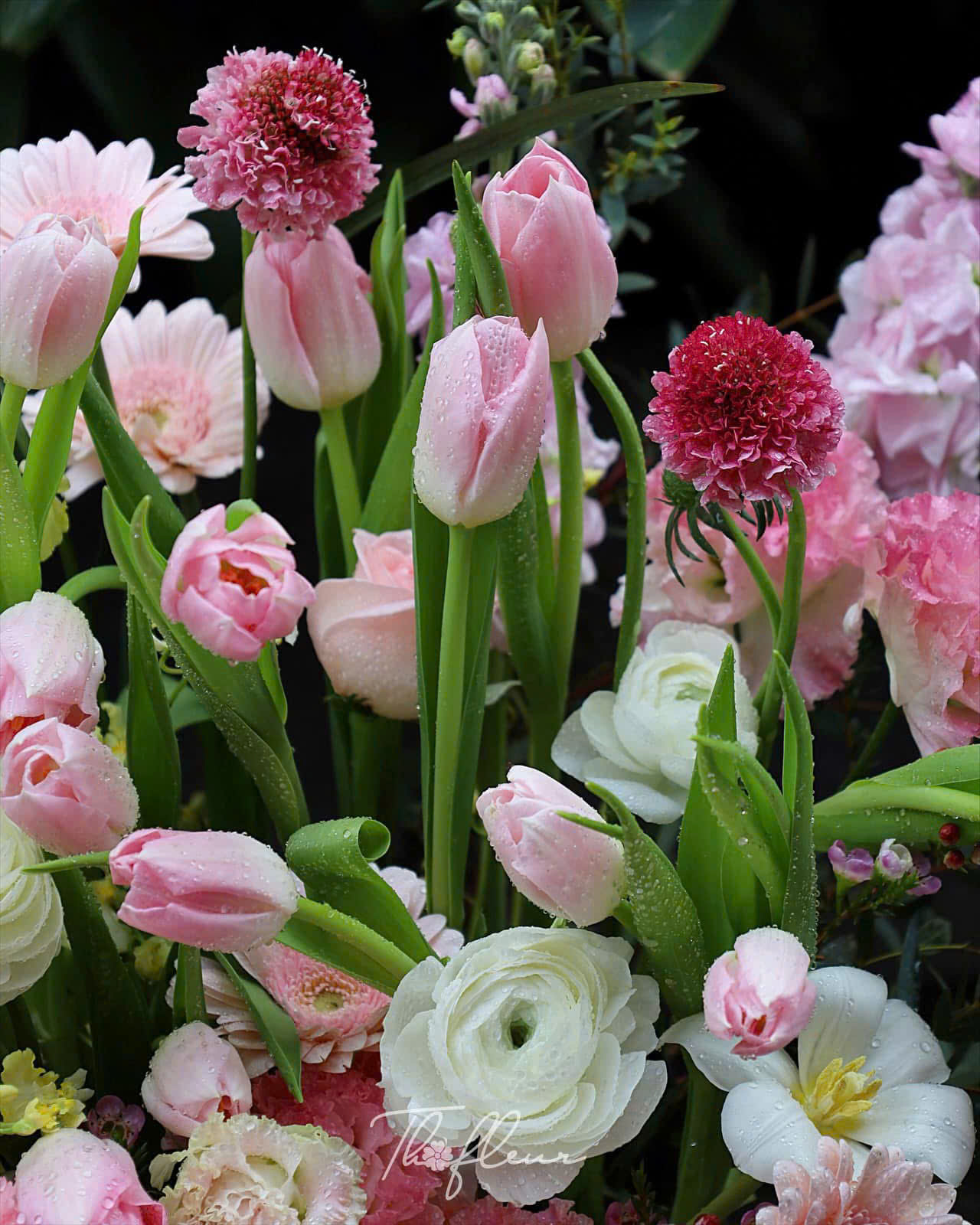 Instagram background